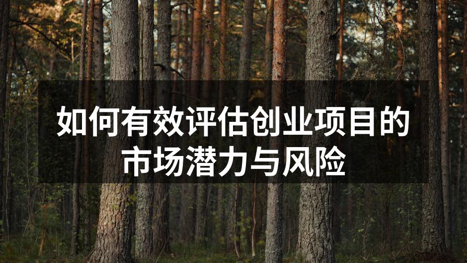 如何有效评估创业项目的市场潜力与风险